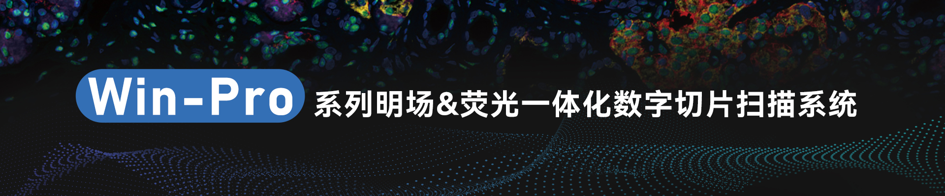 产品名称配图.jpg